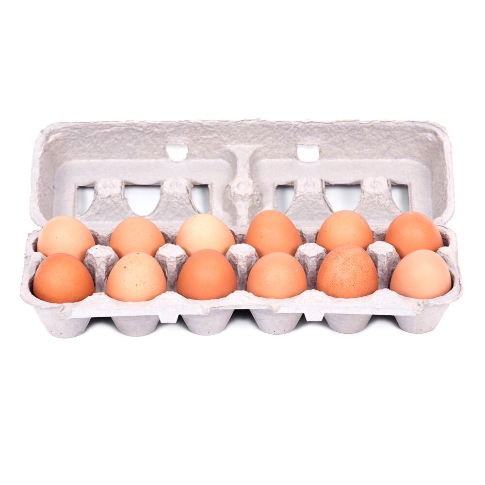 dozen free range humane eggs